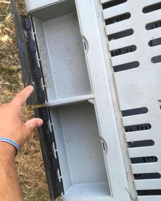 Trasportino per cane