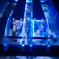 barre led gnc 90/110 per acquario 