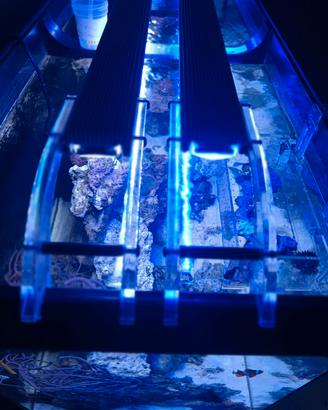 barre led gnc 90/110 per acquario 