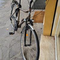 Bicicletta Westwood Denver