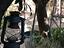 Immagine 14