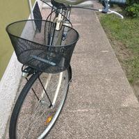 bicicletta da donna  n .26