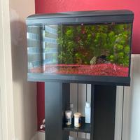 Acquario Amtra con mobile dedicato