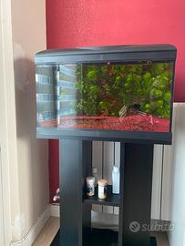 Acquario Amtra con mobile dedicato