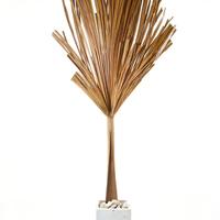 Foglia di palma Naturale - Decorazione da interno