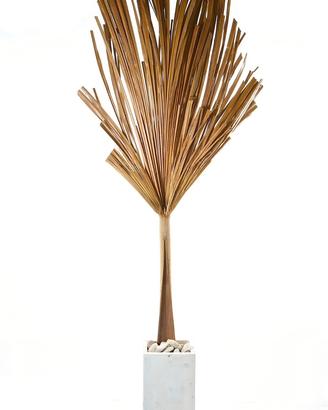 Foglia di palma Naturale - Decorazione da interno