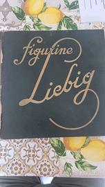 Album Liebig