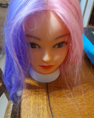 Testa taglio capelli per parrucchieri