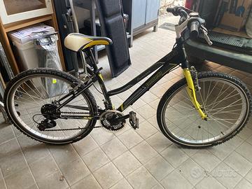 Bicicletta Lombardo