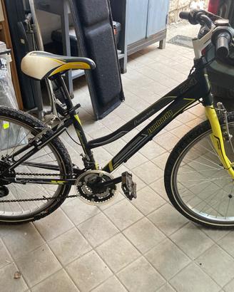 Bicicletta Lombardo