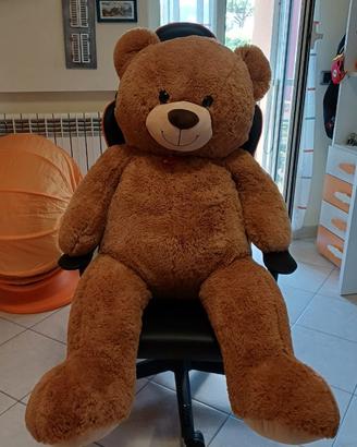 ORSO DI PELUCHE GIGANTE € 20