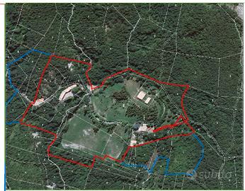 Spazi per Umani Cavalli e Capre