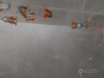 Guppy