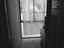 Immagine 16