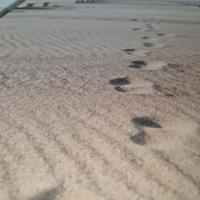 set quadri con quadro in porcellana di limoges