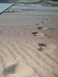 set quadri con quadro in porcellana di limoges