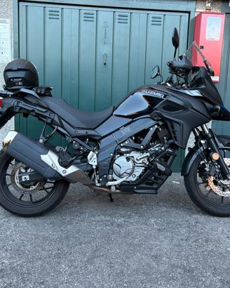 Suzuki V-Strom  650 anno 2024