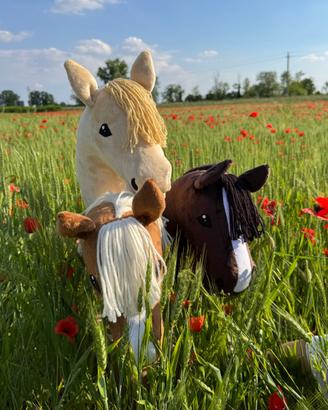 Hobby horse, cavalluccio con bastone