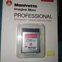 Scheda di Memoria 256GB Manfrotto Professional