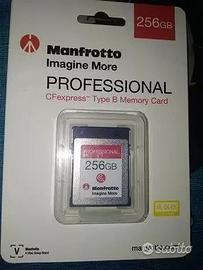 Scheda di Memoria 256GB Manfrotto Professional