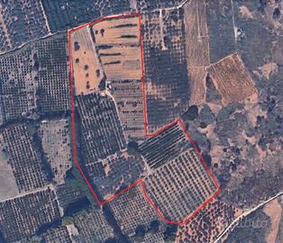 Azienda agricola bio 6 ha con pozzo e fabbricato