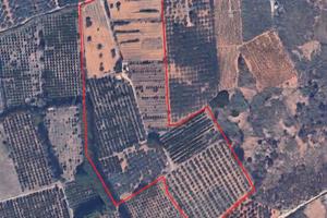 Azienda agricola bio 6 ha con pozzo e fabbricato