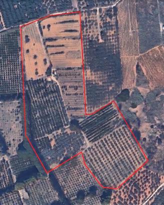 Azienda agricola bio 6 ha con pozzo e fabbricato