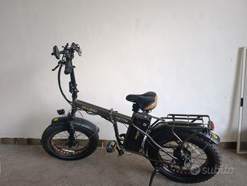 biciclette elettrica