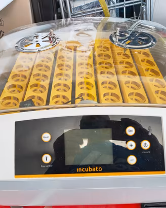 incubatrice incubota 56
