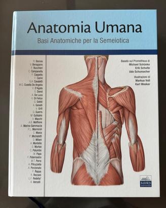 Anatomia umana:basi anatomiche per la semeiotica
