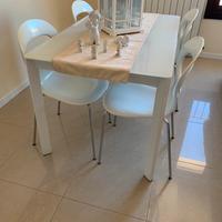 Tavolo in vetro e acciaio bianco