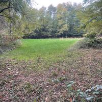 Terreno agricolo 2500 mq posizione tranquilla