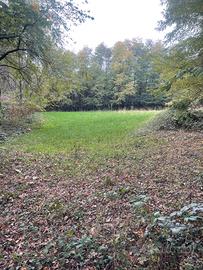 Terreno agricolo 2500 mq posizione tranquilla