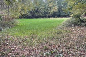 Terreno agricolo 2500 mq posizione tranquilla