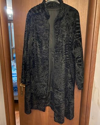 Pelliccia di Astrakan