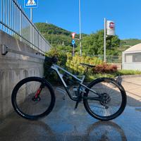 Cannondale Jekyll 29