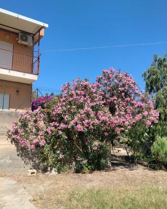 Bifamiliare Villa indipendente