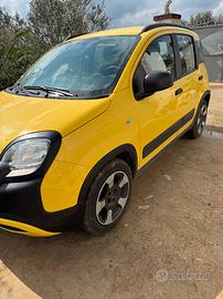 panda 1.0 cross hybrid