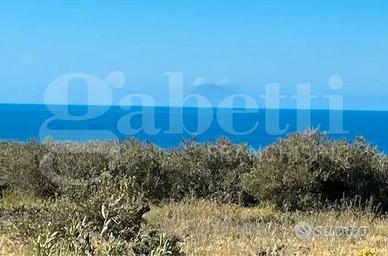 Terreno Agricolo Messina [Cod. rif 3297597VCG]