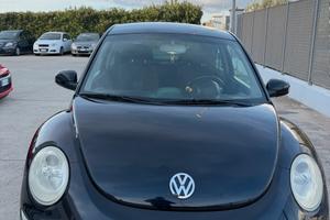 New beetle maggiolino