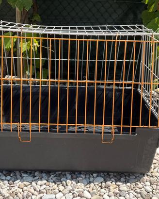 Trasportino per animali domestici di mezza taglia