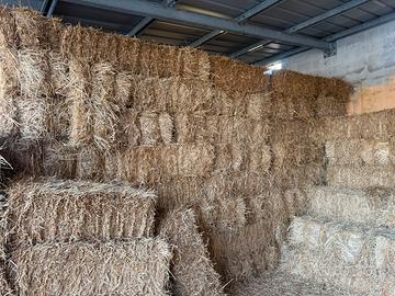 Ballette di paglia di grano