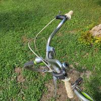 bicicletta da donna e bambino 