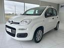 fiat-panda-1-2-easy-benzina-pochi-km