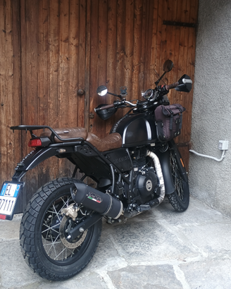 Himalayan