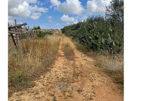 Terreno Agricolo Conversano [A4322888]