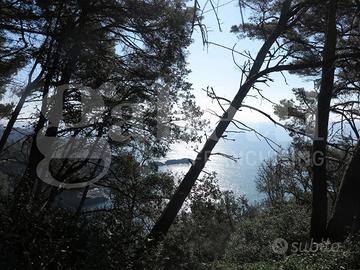 Rustico/Casale/Corte Lerici [629VRG]