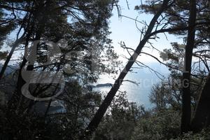 Rustico/Casale/Corte Lerici [629VRG]