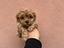 Immagine 28