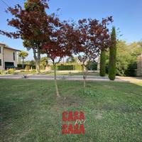 Rustico dagli ampi spazi con terreno